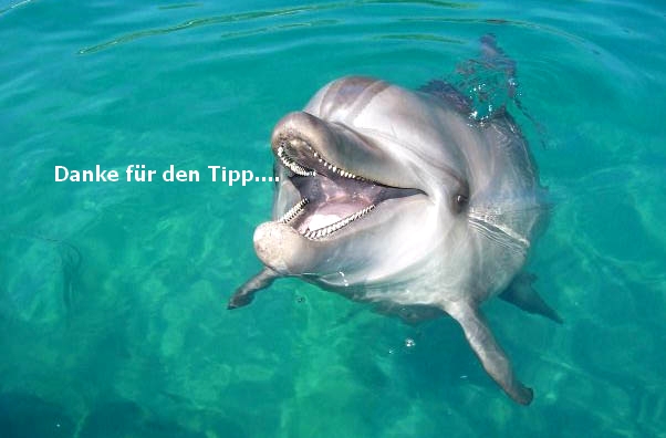 Dolphinos.jpg