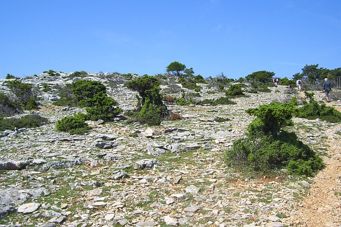 038_Wanderung_Vidova_Gora_Hochflche.jpg