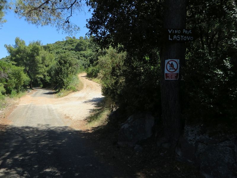 134_Wanderung_von_Pasadur_nach_Lastovo_Abzweigung_Richtung_Vino_Polje.jpg