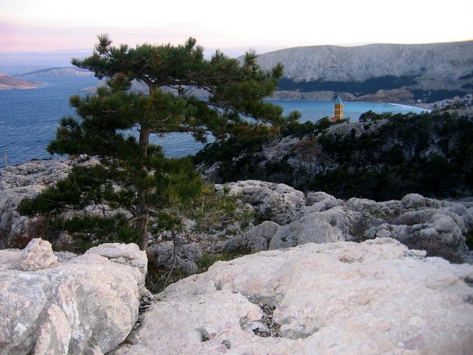 baska-mrz_2008_010.jpg