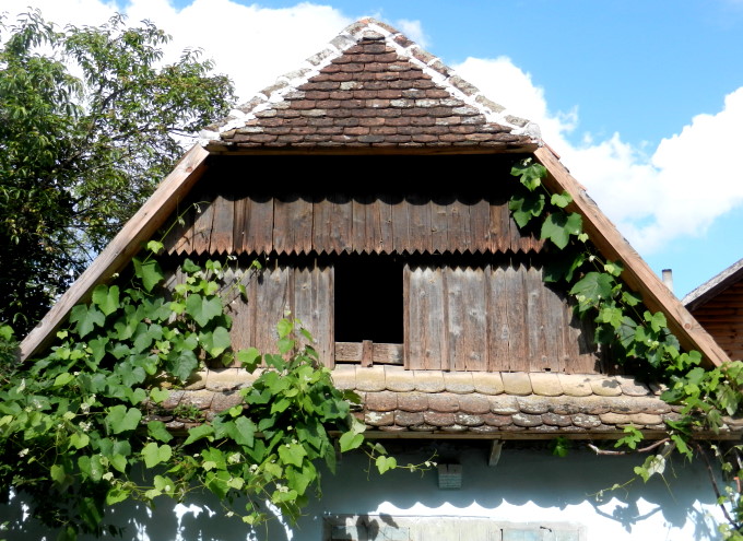 Lonjsko_Polje_44_680.jpg