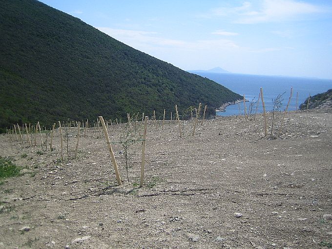 Trpanj_05.2012_427.jpg