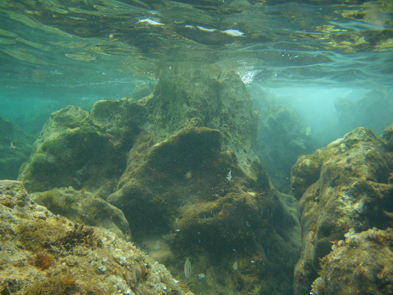 Unterwasserwelt_Felsen_1.jpg