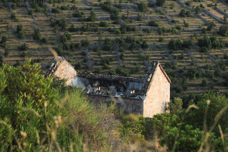 Ruine_Hvar.jpg