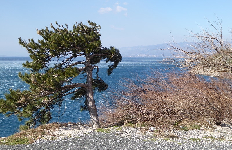 8_25_anreise_senj__044.jpg